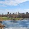 Central Park STATI UNITI D'AMERICA 