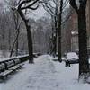 Central Park sotto la neve STATI UNITI D'AMERICA 