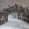 Central Park sotto la neve STATI UNITI D'AMERICA 