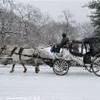 Romantica nevicata a NYC STATI UNITI D'AMERICA 