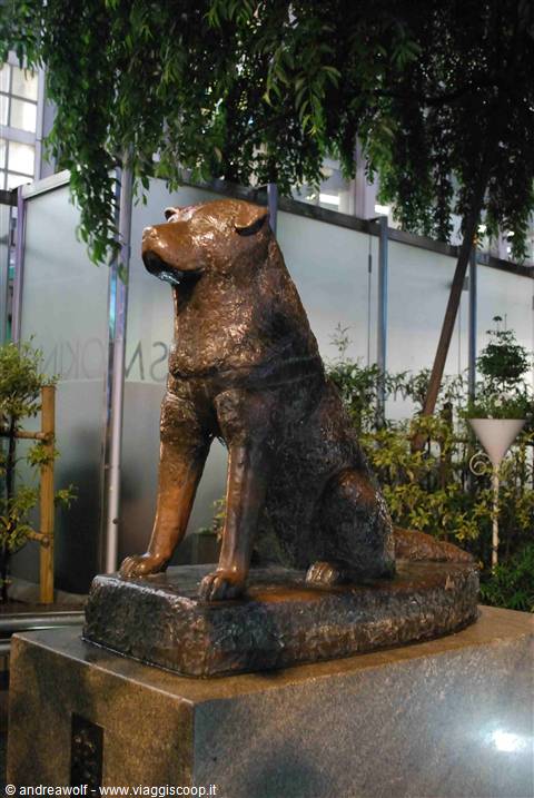 Hatchiko!