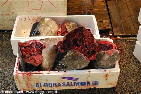 Mercato del pesce di Tokyo