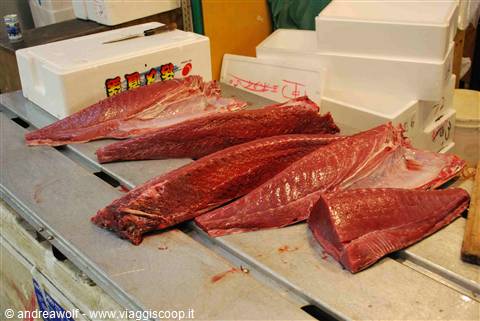 Mercato del pesce di Tokyo