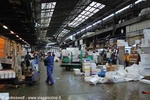 Mercato del pesce di Tokyo