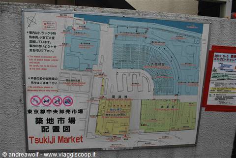 Mercato del pesce di Tokyo