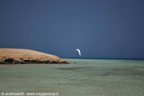 La piaggia di Sharm El Luli