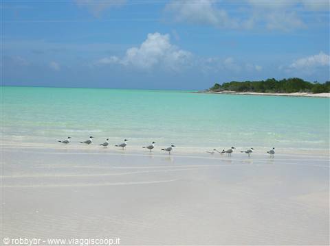 Mujadin Beach