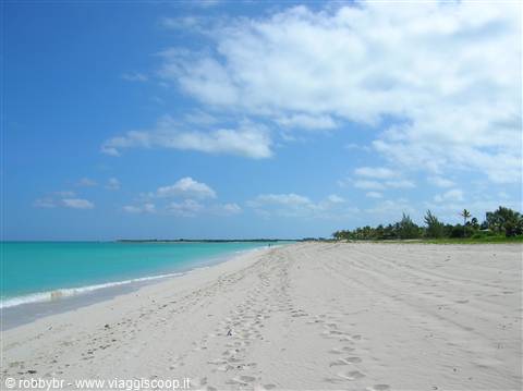 Pelican Point