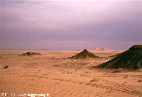 Le prime dune