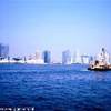 Baia di Manhattan STATI UNITI D'AMERICA 