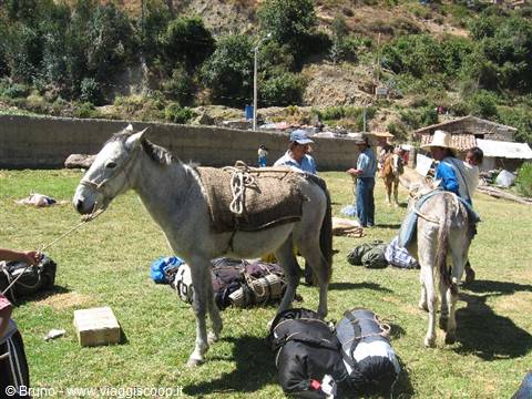 Preparativi per la partenza del trekking nella Cordillera Blanca
