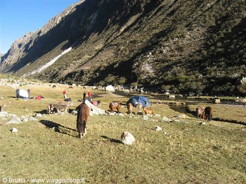 Trekking nella Cordillera Blanca - Primo campo