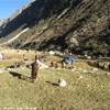 Trekking nella Cordillera Blanca - Primo campo PERU' 