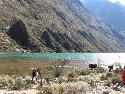 Trekking nella Cordillera Blanca - Paesaggio della seconda tappa