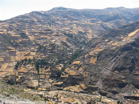 Cordillera Blanca - Calpi coltivati nei pressi di Chavin