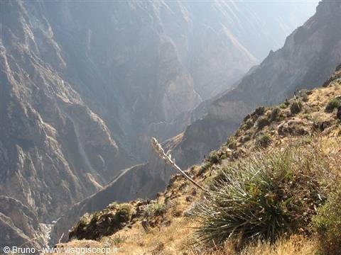 Canyon de Colca