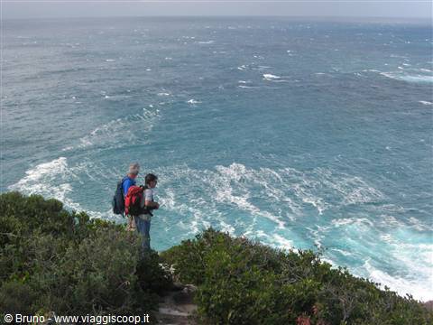 Trek nel Tsitsikamma National Park