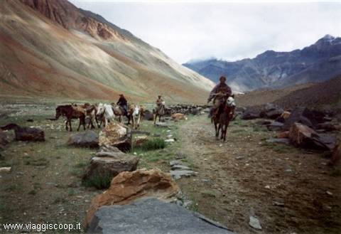 Colori del Ladakh