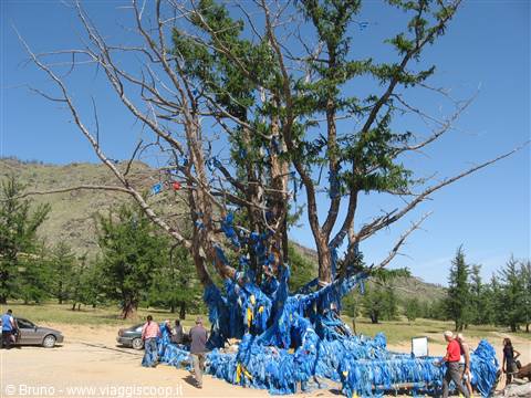 Albero sacro di Zuun Salaa Mod