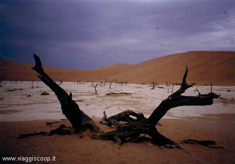 Deadvlei