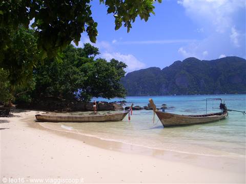 phi phi