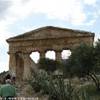 Segesta : il tempio solitario ITALIA 