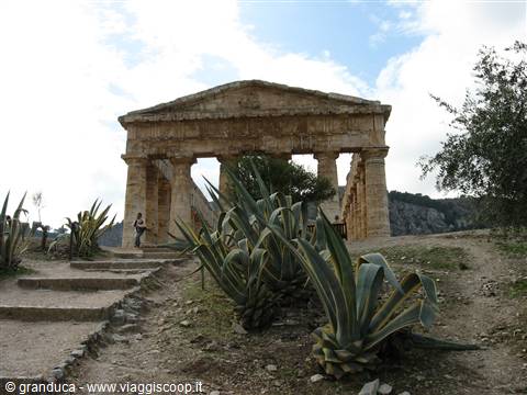 Segesta : il tempio solitario