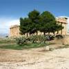 Selinunte : Tempio E ITALIA 
