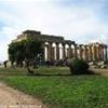 Selinunte : Tempio E ITALIA 