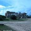 Selinunte : Tempio fluorescente ITALIA 
