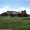 Selinunte : Tempio fra il verde ITALIA 