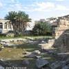 Ortigia: Tempio di Apollo ITALIA 