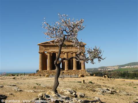 Tempio della Concordia