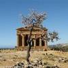 Tempio della Concordia ITALIA 