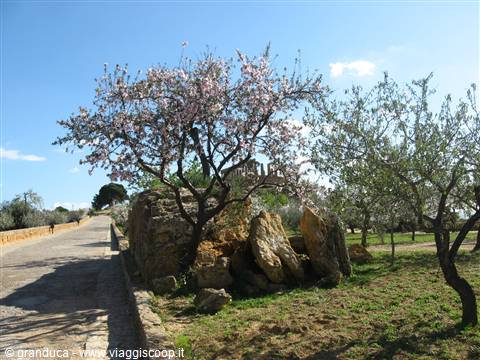 Tempio di Giunone