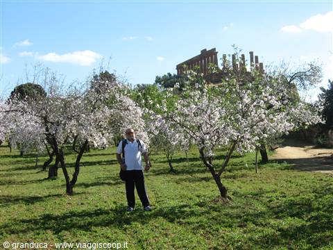 Tempio di Giunone