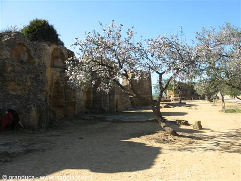 la Necropoli
