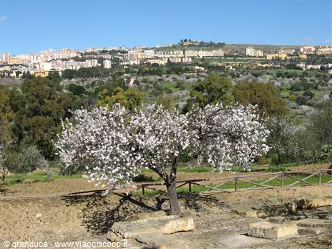 Agrigento