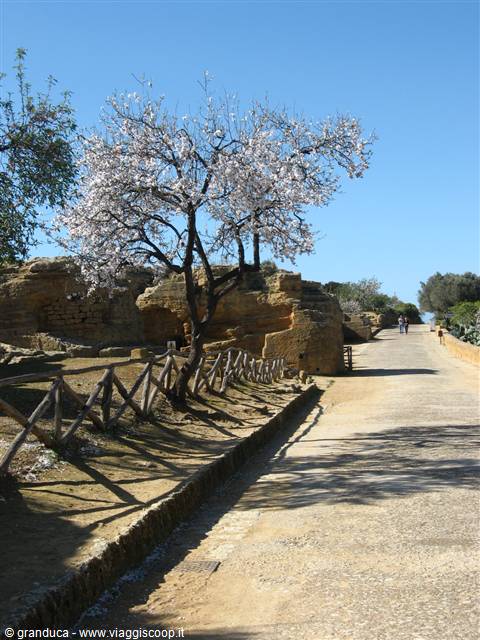 Via dei Templi