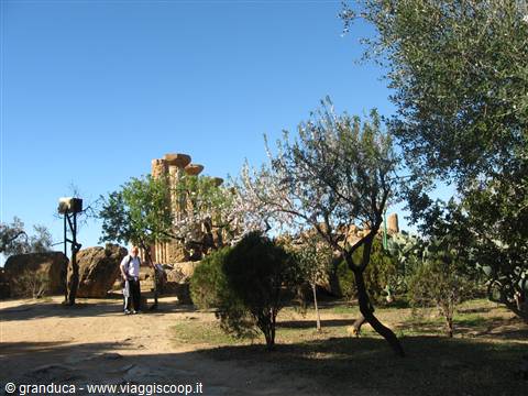 Tempio di Ercole