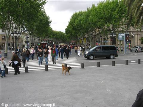 Barcellona :la rambla