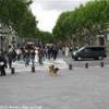 Barcellona :la rambla SPAGNA 