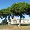 Area archeologica di Paestum ITALIA 