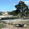 Area archeologica di Paestum ITALIA 