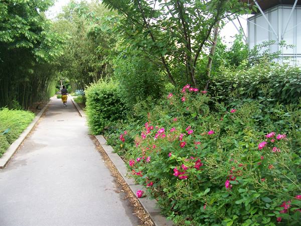 la Promenade plantée