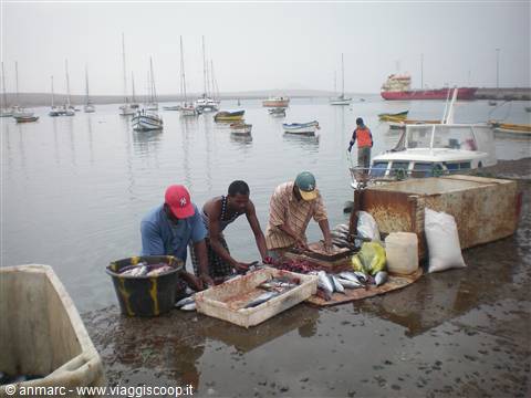 PESCATORI A PALMEIRA