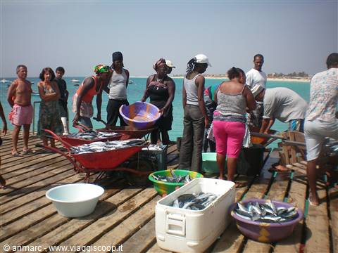 pesce appena arrivato