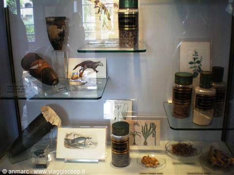 interno museo profumi