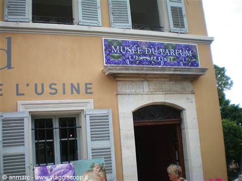 ingresso museo grasse