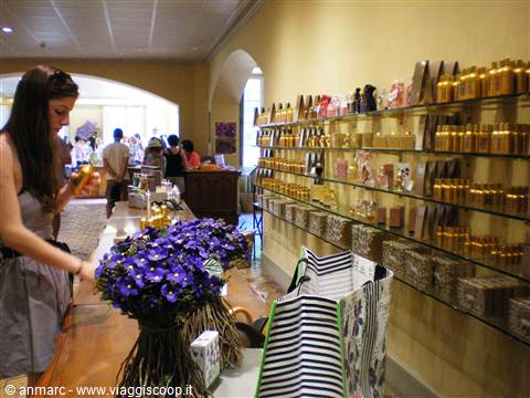 spaccio profumi